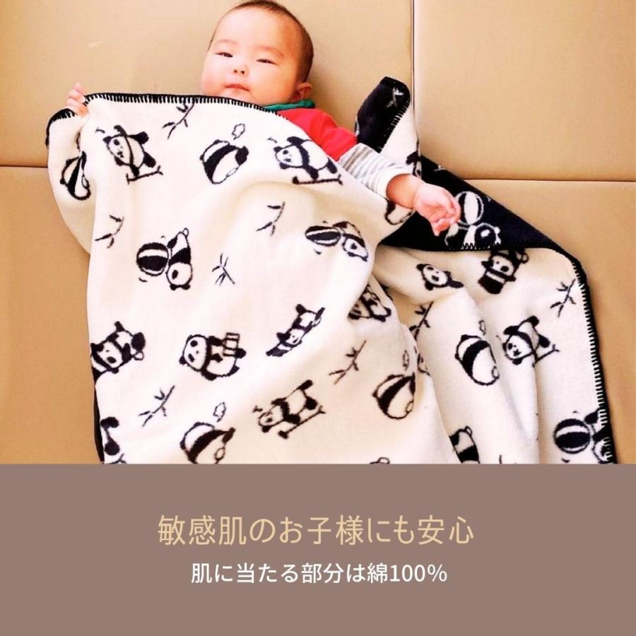 ブランケット 日本製 クォーター 綿毛布 パンダ柄 コットン