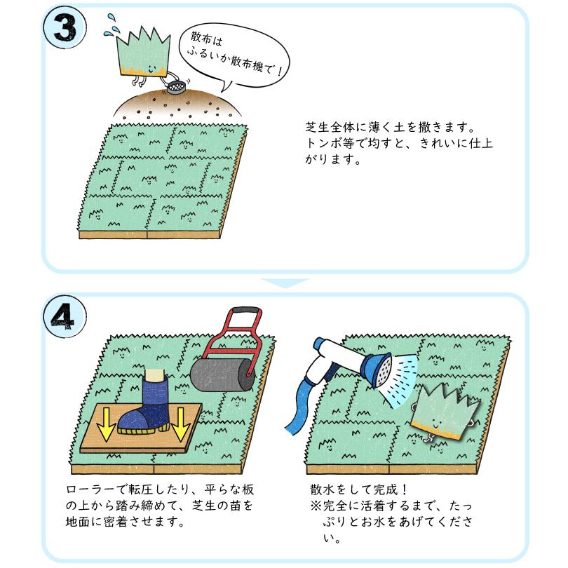 芝 ロール マット 芝生 ケンタッキーブルーグラス ミッドナイト ロール芝 約1平米 2ロール 常緑芝生 エバーグリーン 寒地型芝生 ロール芝 切芝 直送 Gf1 01 003 国分グリーンファーム 通販 Yahoo ショッピング
