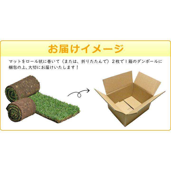 芝 ロール マット 芝生 ケンタッキーブルーグラス ミッドナイト ロール芝 約1平米 2ロール 常緑芝生 エバーグリーン 寒地型芝生 ロール芝 切芝 直送 Gf1 01 003 国分グリーンファーム 通販 Yahoo ショッピング