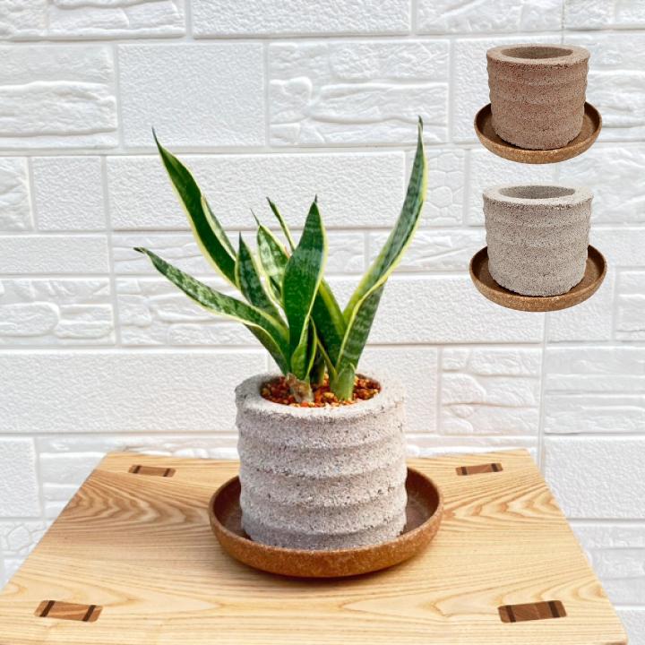 送料無料 〈AQUA PLANTPOT〉HACHI (円ーMADOKAー) ソーサー付 アクア