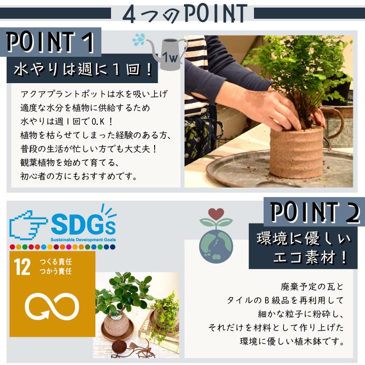送料無料 〈AQUA PLANTPOT〉HACHI (円ーMADOKAー) ソーサー付 アクア