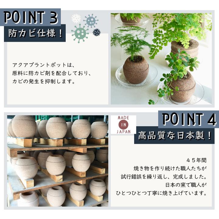 送料無料 〈AQUA PLANTPOT〉HACHI (円ーMADOKAー) ソーサー付 アクア