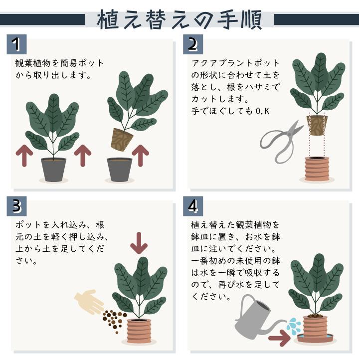 送料無料 〈AQUA PLANTPOT〉HACHI (円ーMADOKAー) ソーサー付 アクア