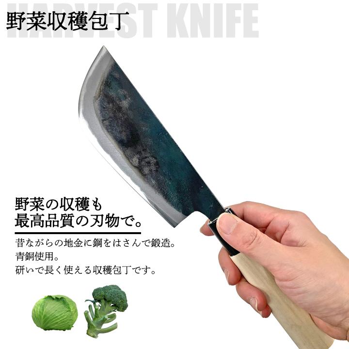 松永製作所 野菜収穫包丁 刃渡り14.5cm 農作業 収穫 包丁 野菜 鍛冶屋