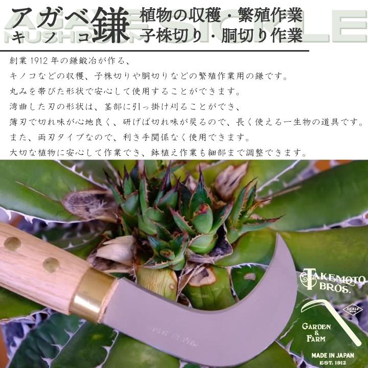 竹本鎌製作所 アガベ・キノコ鎌 鍛冶屋 鎌 観葉植物 収穫 繁殖 胴切り