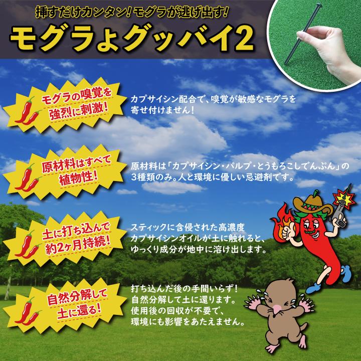 もぐら退治 モグラよグッバイ2(100本入)モグラ駆除 モグラ退治