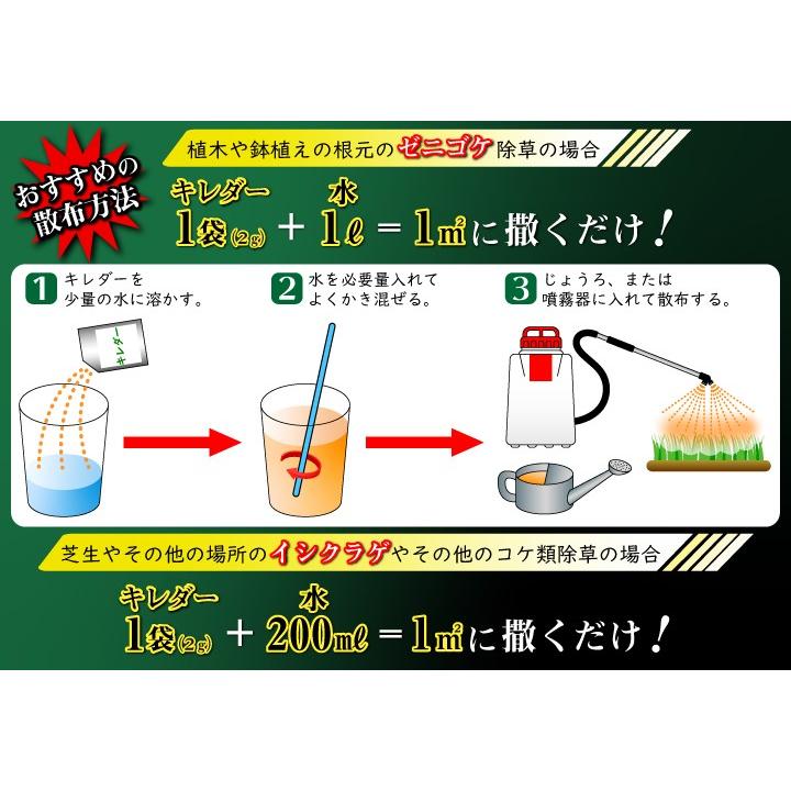 コケそうじ ゼニゴケ イシクラゲ 藻類 専用 除草剤 キレダー水和剤 500g｜kkb-green｜03