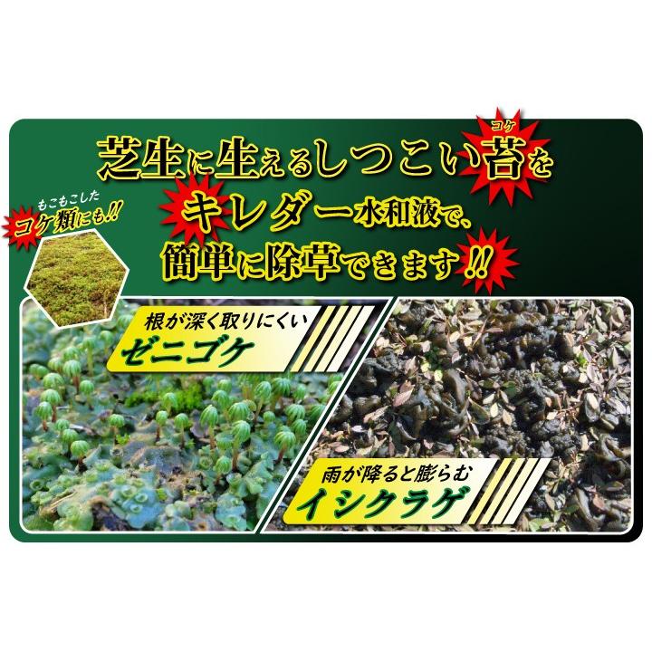 コケ取り剤 キレダー水和剤 2g 10袋 3坪用 コケそうじ ゼニゴケ イシクラゲ 藻類 専用 除草剤 Gf11 04 021 国分グリーンファーム 通販 Yahoo ショッピング