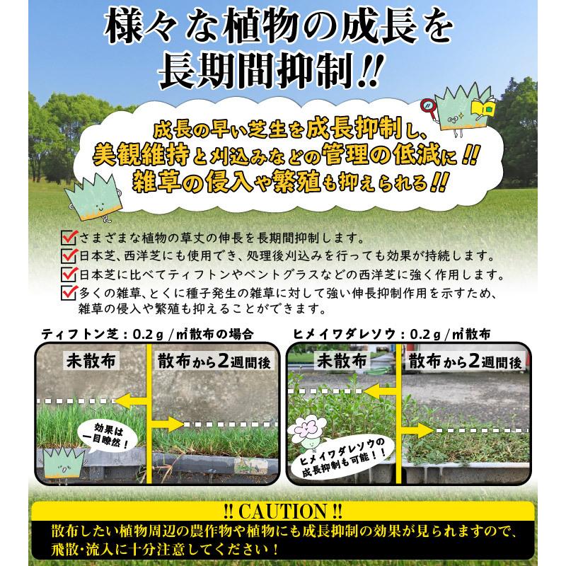 芝生の手入れ 植物成長調整剤 グリーンフィールド水和剤 500g 約2500平米分 芝刈り 芝生 雑草 成長抑制 スズメノカタビラ Gf11 04 500 国分グリーンファーム 通販 Yahoo ショッピング