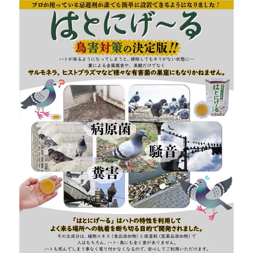 鳩よけ対策 ベランダ はとにげ る 10ヶ入 1箱 鳩よけグッズ 鳩撃退 ハト対策 忌避剤 糞害対策 フン害 ハトよけ 害鳥対策グッズ 駆除方法 Gf11 06 010 国分グリーンファーム 通販 Yahoo ショッピング