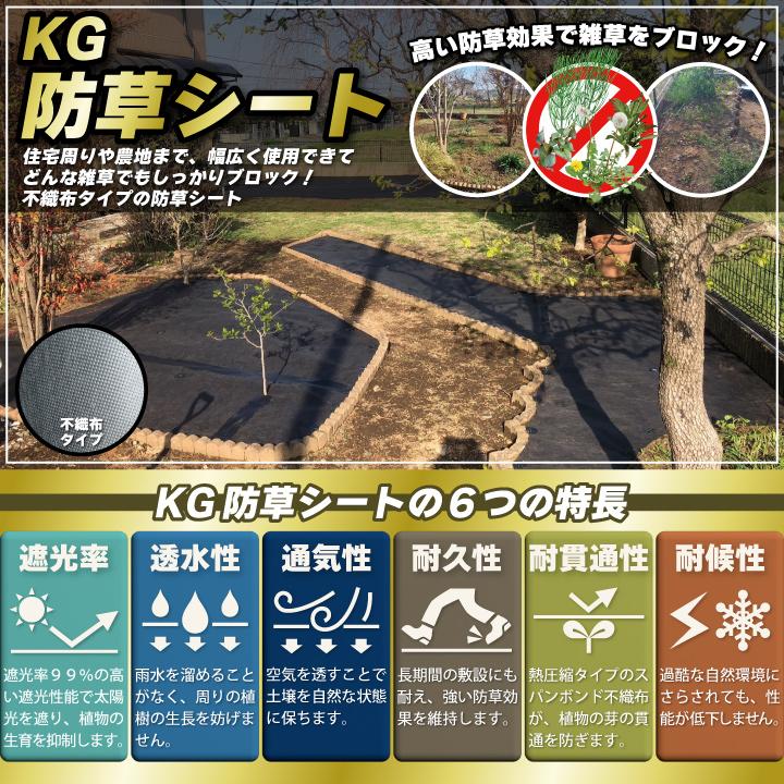 防草人工芝 1m×10m］防草シート付き 高耐久 人工芝 芝丈35mm 高密度44万本