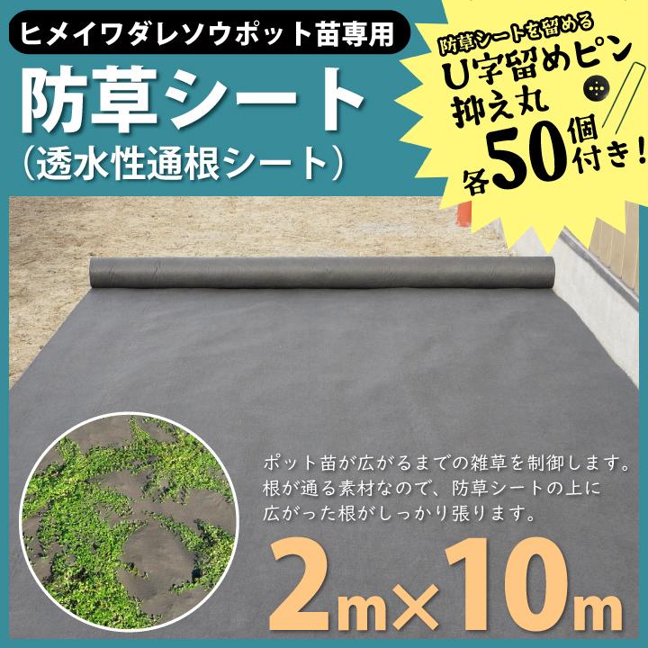 新品　ヒメイワダレソウ専用防草シート 2m x 10m ヒメイワダレソウ ポット苗 専用防草シート(2m×10m)U字ピン（50本付