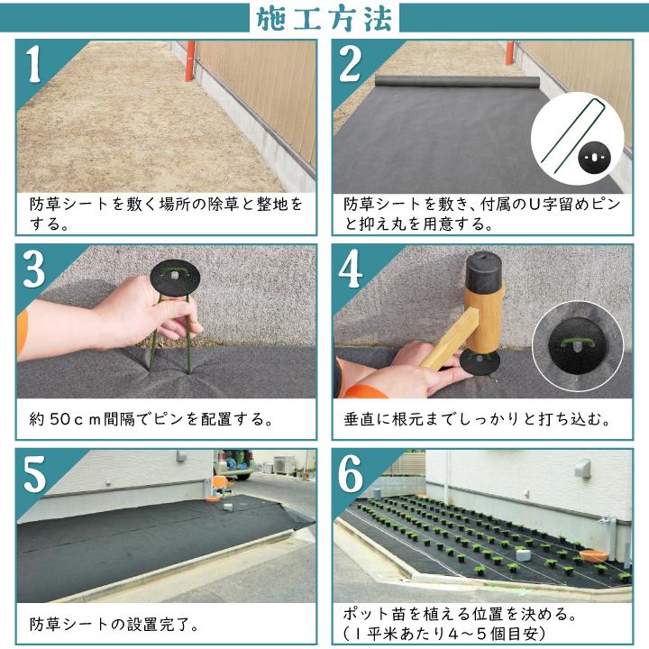 ヒメイワダレソウ ポット苗 専用防草シート(2m×10m)U字ピン（50本付