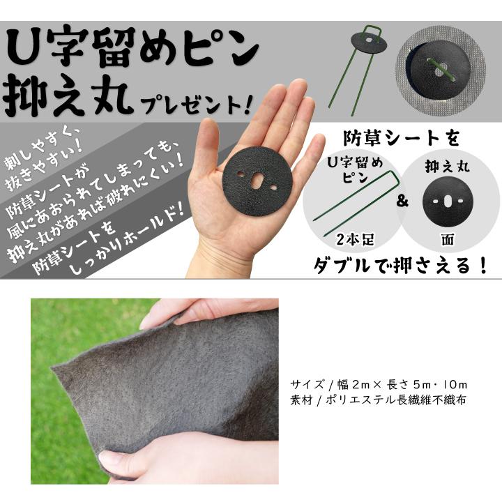 ヒメイワダレソウ ポット苗 専用防草シート(2m×10m)U字ピン（50本付