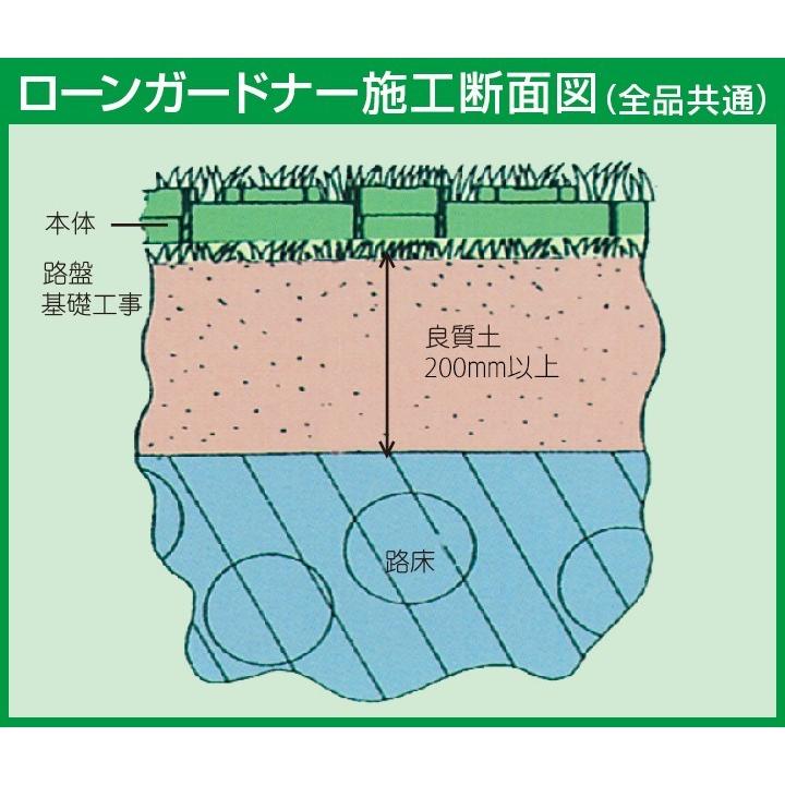 カイ psa10 イーブイex psa10 Nのレシラムpsa10