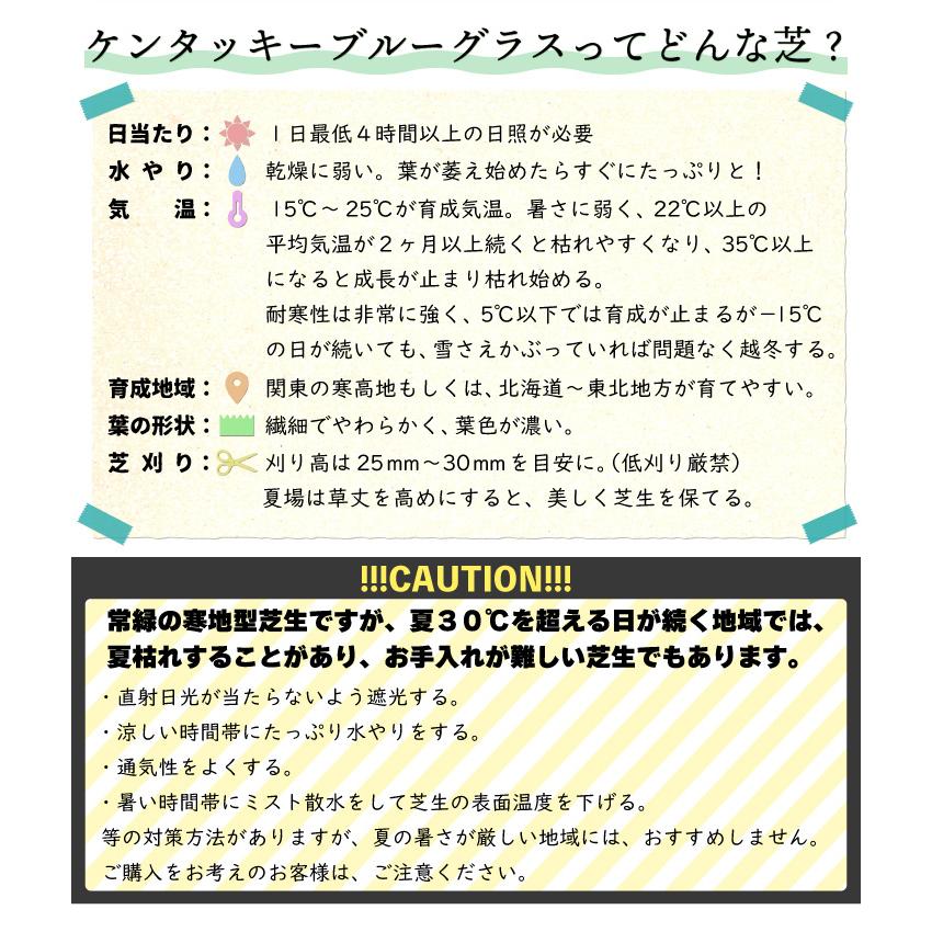 芝生 常緑 ケンタッキーブルーグラス 種 ミッドナイト 1kg 芝種 西洋芝 寒地型 追い播き 補植 補修 Gf9 01 002 国分グリーンファーム 通販 Yahoo ショッピング