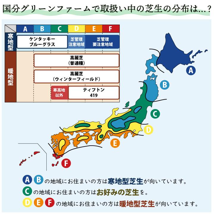 芝生 常緑 ケンタッキーブルーグラス(種) ミッドナイト 1kg 芝種 西洋芝 寒地型 追い播き 補植 補修｜kkb-green｜04