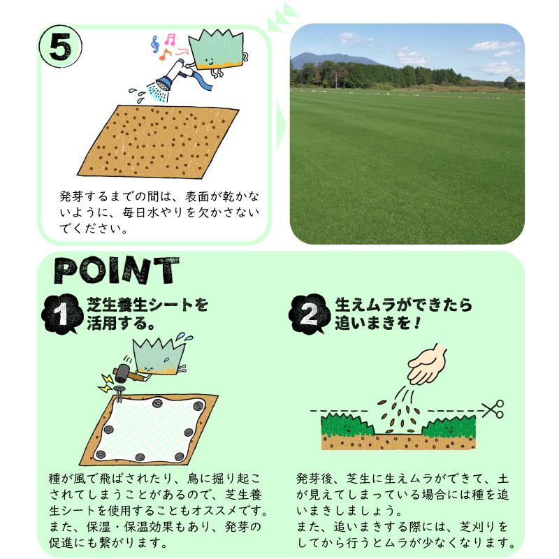 芝生 常緑 ケンタッキーブルーグラス 種 ミッドナイト 1kg 芝種 西洋芝 寒地型 追い播き 補植 補修 Gf9 01 002 国分グリーンファーム 通販 Yahoo ショッピング