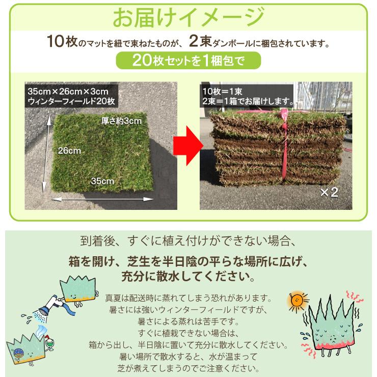 芝 ロール マット 高麗芝 改良種 切り芝 張り芝 ウィンターフィールド 