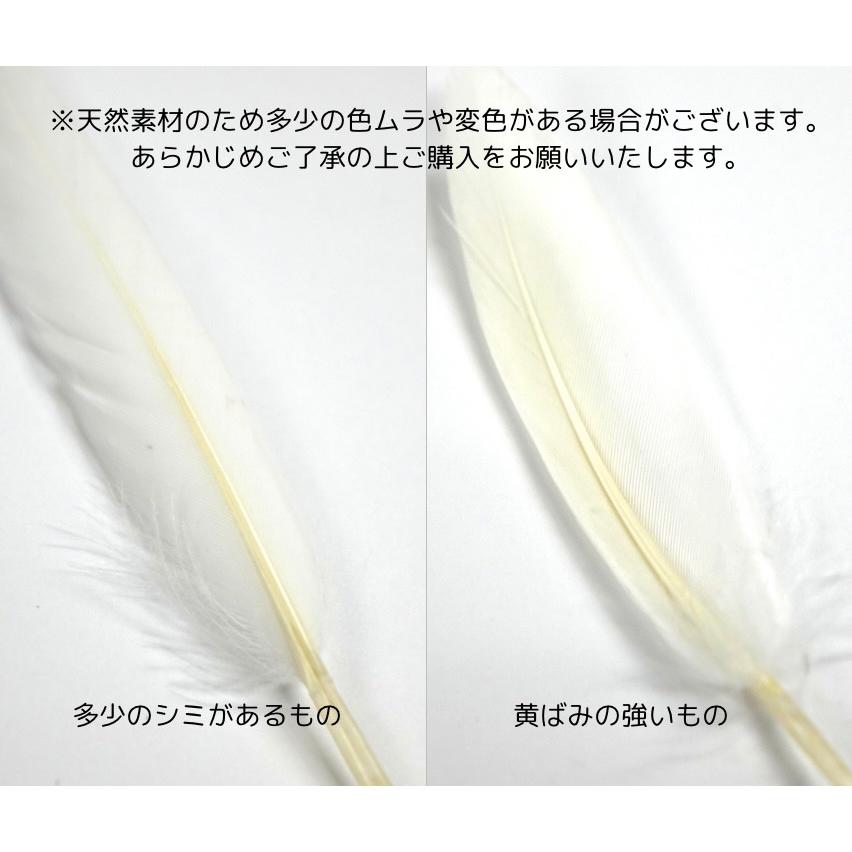 小羽根 小羽根（白） : 管楽器専門店ダク Yahoo!ショップ - 通販 - Yahoo