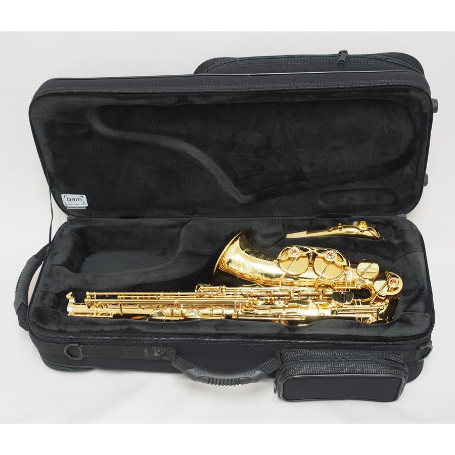 アルトサックスケース bam（バム）トレッキング 3021S : 管楽器専門店