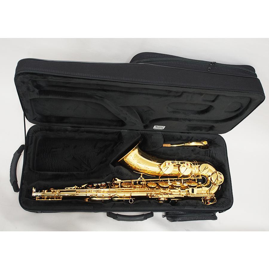 テナーサックスケース bam（バム）トレッキング 3022S : 管楽器専門店