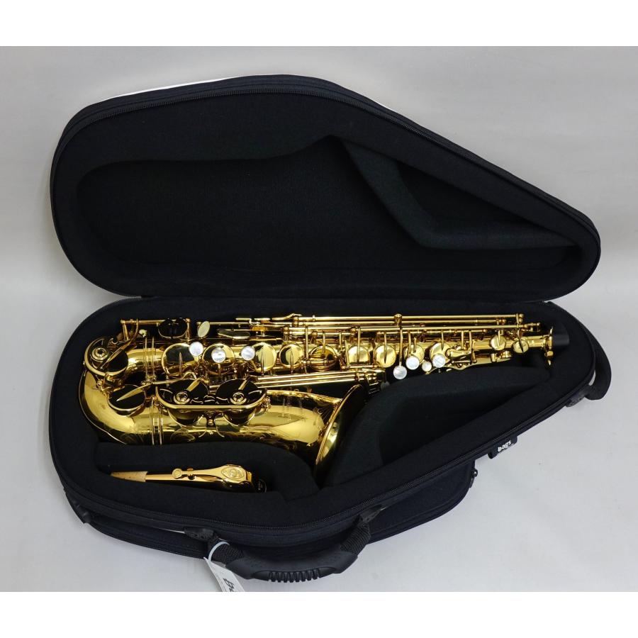 アルトサックスケース bags（バッグス） EFAS : 管楽器専門店ダク