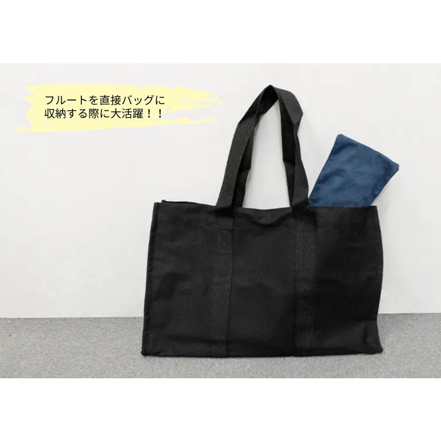 フルートケースポーチ anello × Pearl Flute アネロ コラボレーション