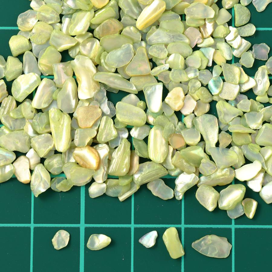 ネイルパーツ シェル ストーン 緑 薄め 50g 1ー7mm 貝殻 レジン ネイル