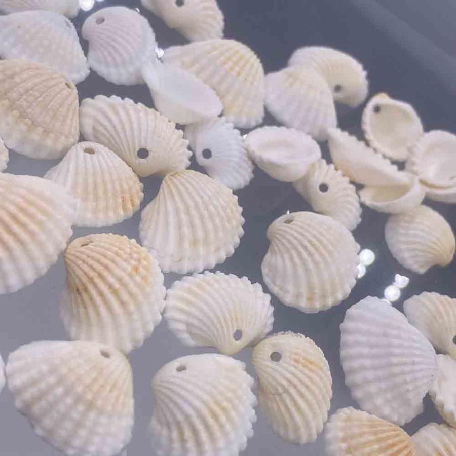 シェルパーツ 貝殻 ホワイト 14mmー24mm ミックス 穴あり 海 貝