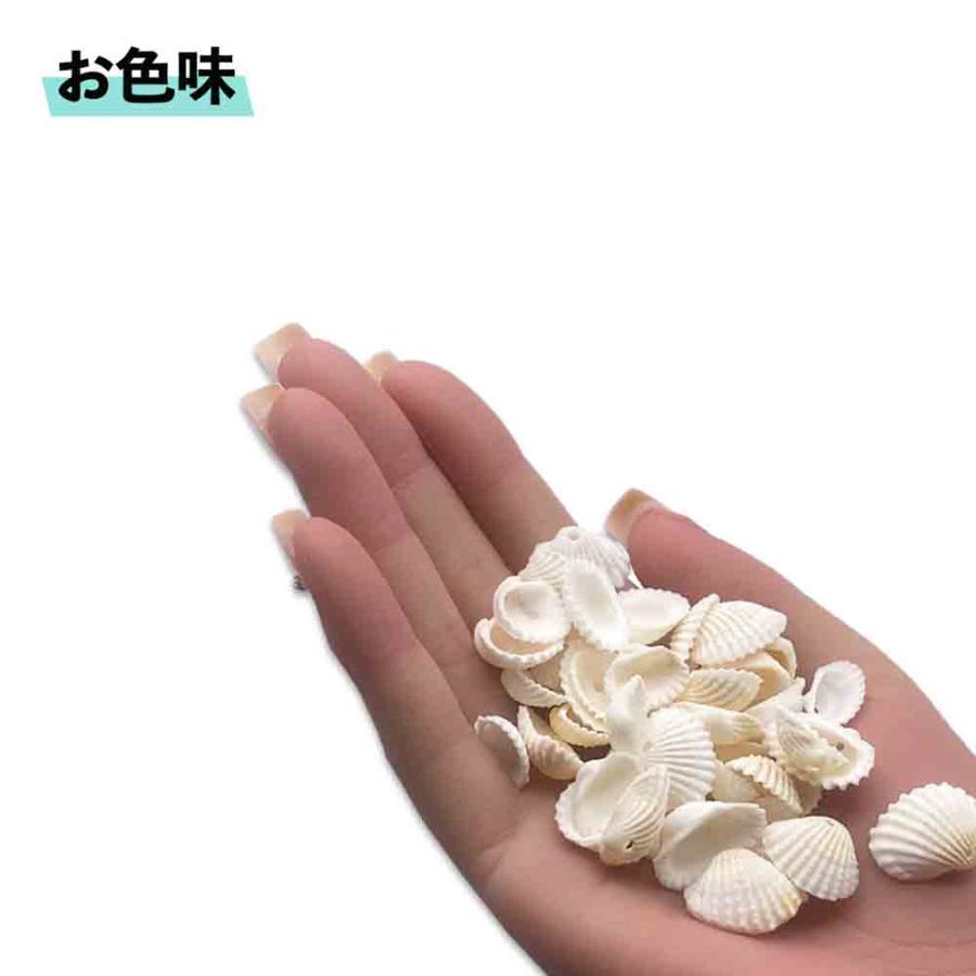 シェルパーツ 貝殻 ホワイト 14mmー24mm ミックス 穴あり 海 貝