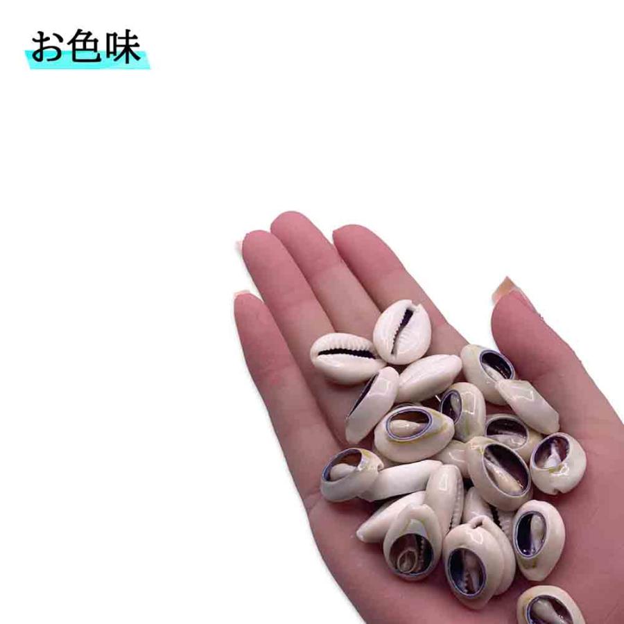 シェルパーツ 貝殻 カウリー グレー 25mm ミックス 大きめ 大穴 海
