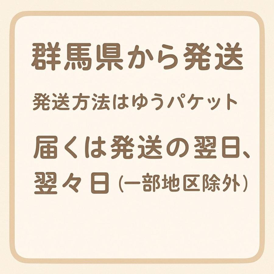 イヤーピース パナソニック Technics EAH-AZ80 EAH-AZ60 用 に対応