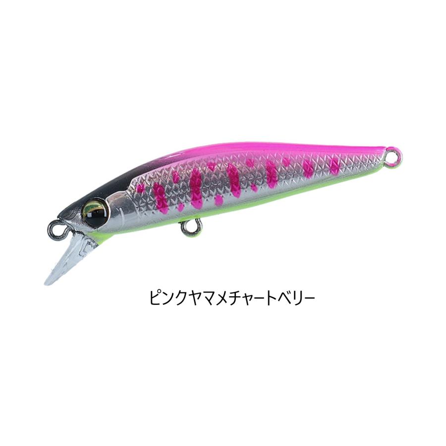 DAIWA（ダイワ） シルバークリークミノーダートカスタム48S : KK