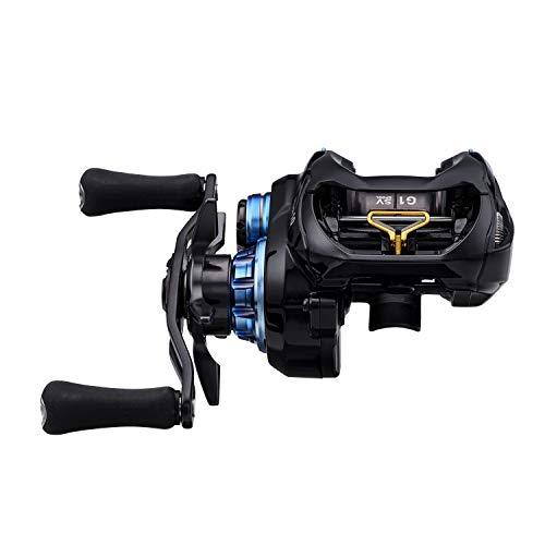 ダイワ(DAIWA) ベイトリール 20 ジリオン10 10.0R-SV TW (2020モデル) 0R SV TW 右ハンドル
