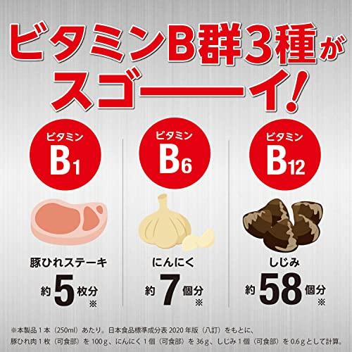 華麗伊藤園 ビタミンパワーGO スーパーBBB 250ml×30本 缶 栄養ドリンク