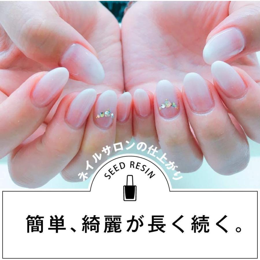 1158円 捧呈 Seed Resin シードレジン ジェルネイル ポリッシュノンサンディングベースジェル10g ノンワイプトップジェル10g セット 日本