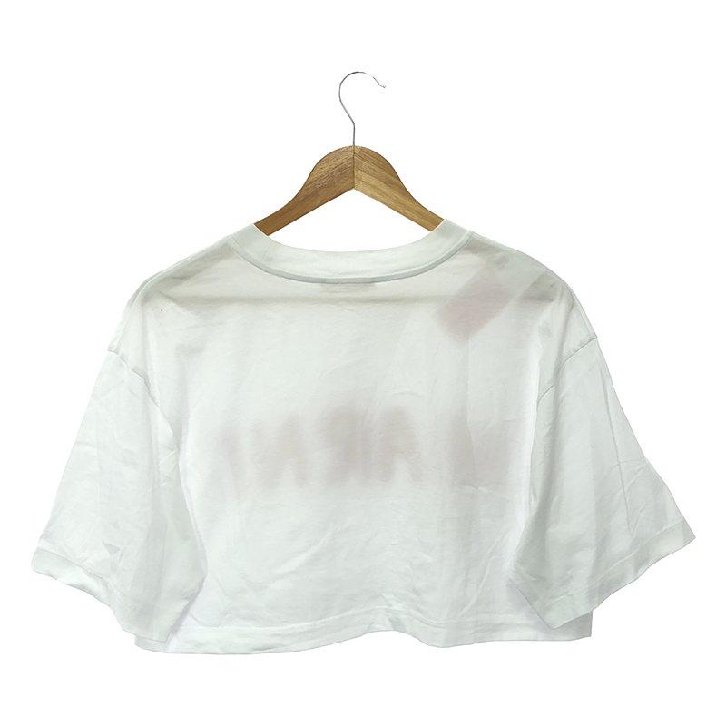 MARNI - 【美品】  MARNI / マルニ | 2024SS | ロゴプリント クロップドTシャツ | 38 | ライトブルー | レディース MARNI 【美品】 / マルニ | 2024SS ロゴプリント クロップドT