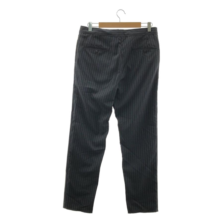 パンツ The North Face PL Striped Field Pants THE NORTH FACE PURPLE LABEL [Striped Field Pants]
