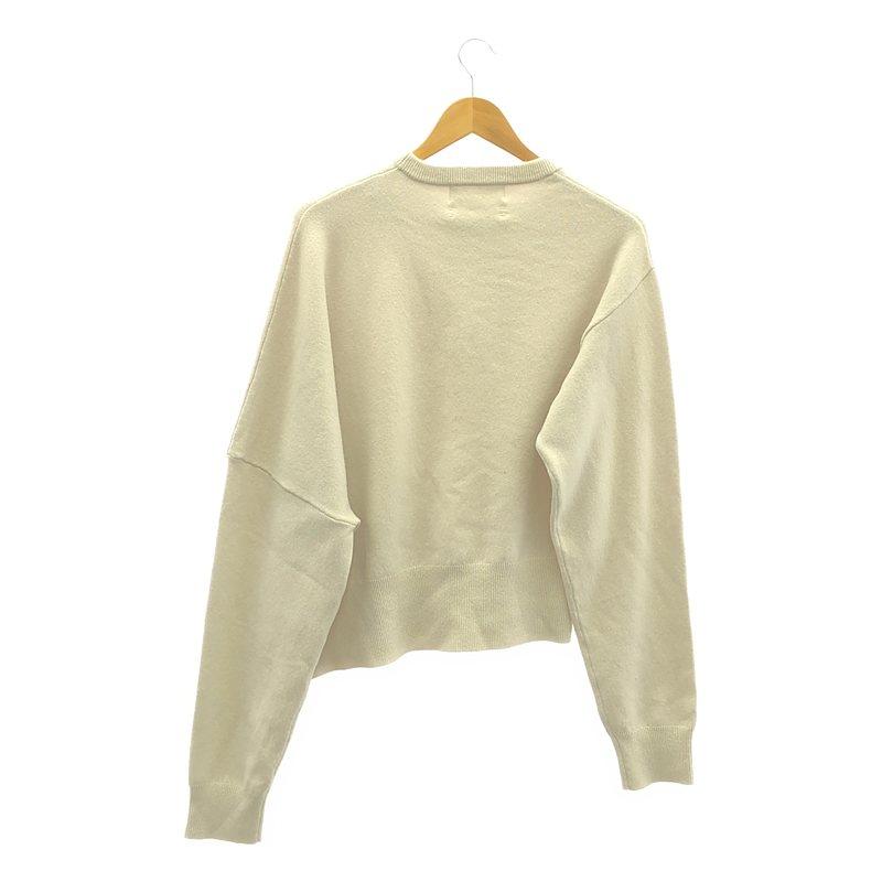 extreme cashmere / エクストリームカシミヤ | カシミヤ クルーネック オーバーニット | グレージュ系 | レディース extreme cashmere / エクストリームカシミヤ | カシミヤ クルー