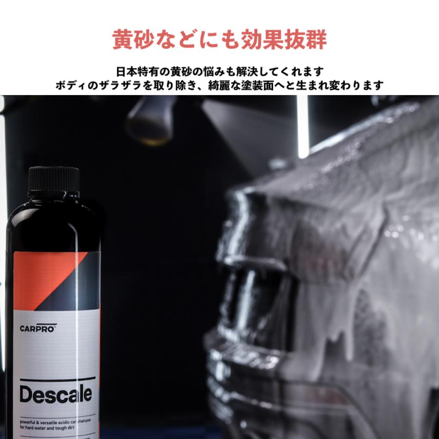 CARPRO（カープロ） CARPRO Descale ディスケール 500ml : kleenDEPOT