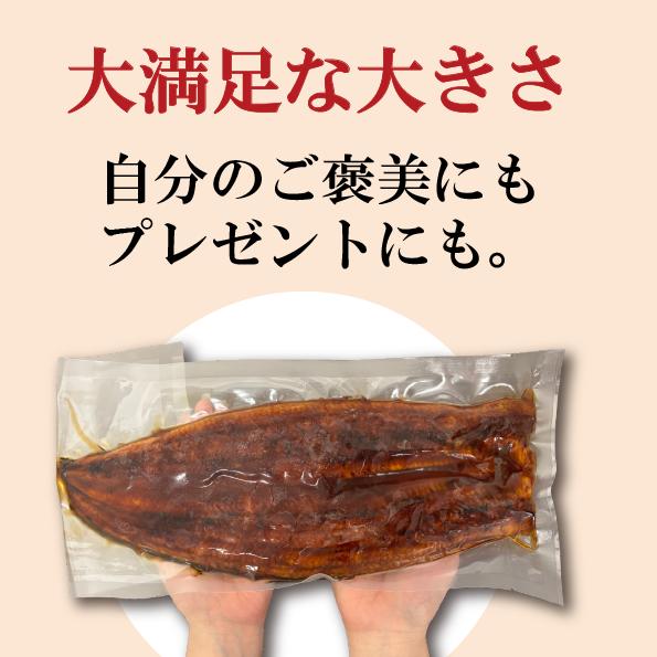 どどんと2尾入り!】特大うなぎ長焼き 600g 送料無料 うなぎ 特大サイズ