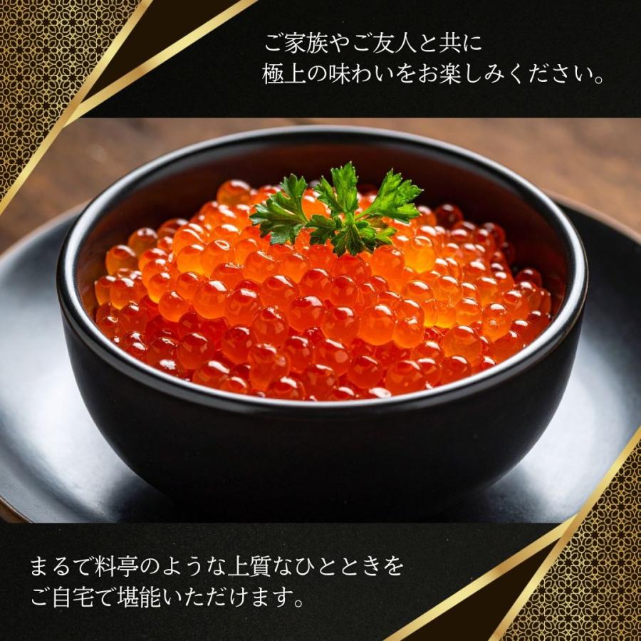 大粒鮭いくら醤油漬け 500g こだわりのブランド山十前川商店 北海道