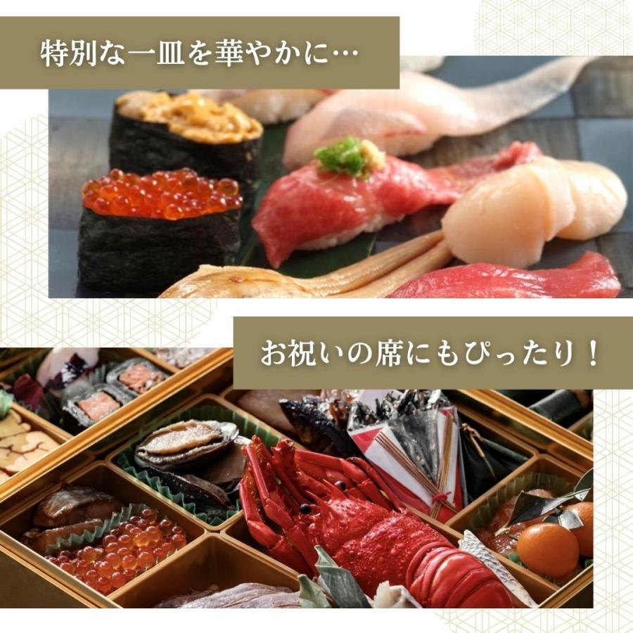 大粒鮭いくら醤油漬け 500g こだわりのブランド山十前川商店 北海道
