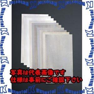 【代引不可】【個人宅配送不可】ESCO(エスコ) 0.05-0.80mm/150x300mm シムセット(スチール製) EA440E-100 [ZES008693]