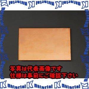 【代引不可】【個人宅配送不可】ESCO(エスコ) 300x300x 5.0mm 銅板 EA441VA-52 [ZES009377]