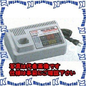 ESCO(エスコ) 12 V 充電器 EA813R-6 [ZES039477]