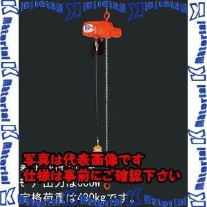 【代引不可】【個人宅配送不可】ESCO(エスコ) 490kgx5.0m 電動チェーンブロック EA987DA-9 [ZES070732]
