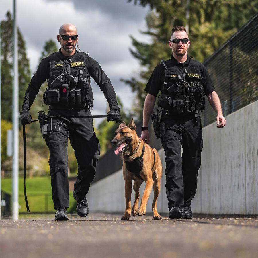 Danner ストライカーtorrent45 ブラック　ハイカット あなたの知らない世界 Danner編 | RECOMMEND