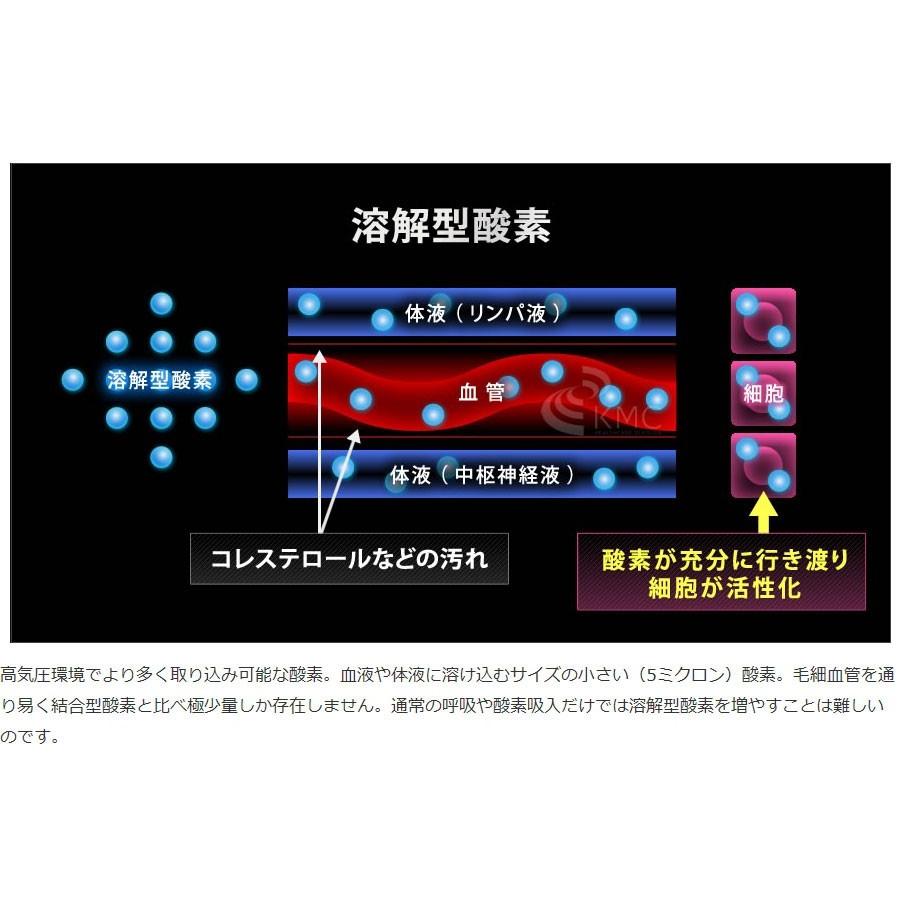 家庭用〜業務対応 酸素カプセル OXYRIUM オキシリウム 日本製 ALL
